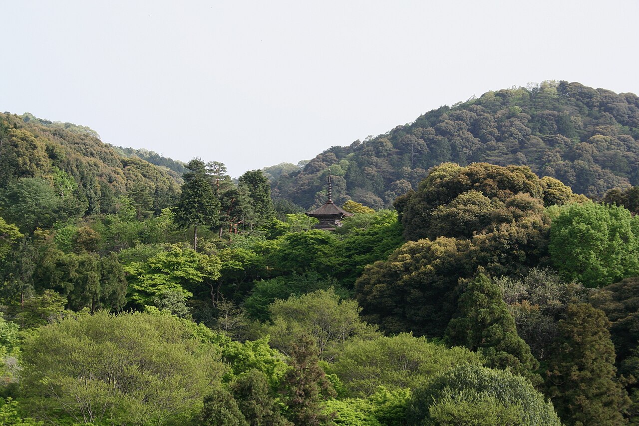 清水寺へ続く参道